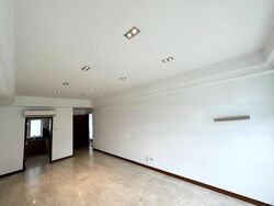 The Balmoral Spring (D10), Apartment #480364071